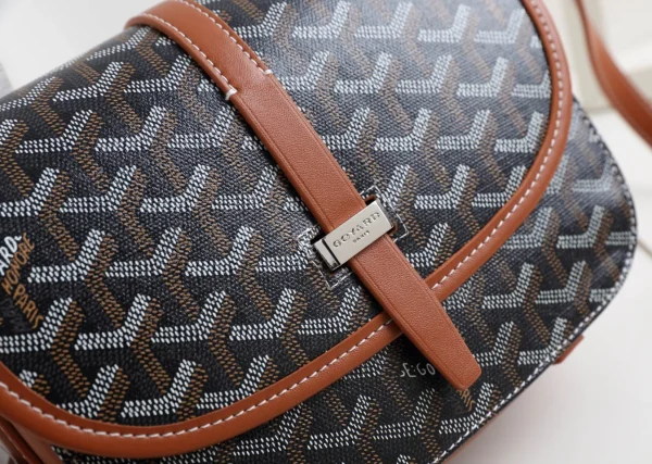 Goyard Messenger Bag Size:22*17*7cm - 图片 18