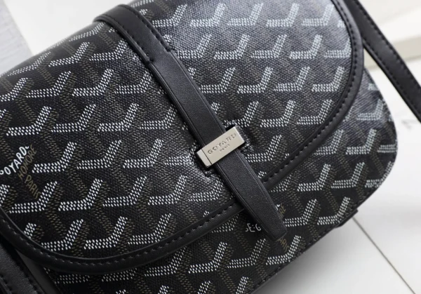 Goyard Messenger Bag Size:22*17*7cm - 图片 9