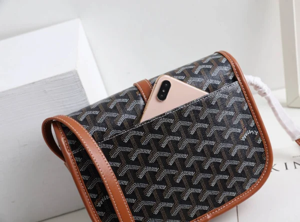 Goyard Messenger Bag Size:22*17*7cm - 图片 16
