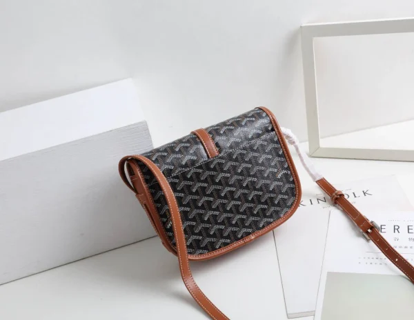 Goyard Messenger Bag Size:22*17*7cm - 图片 17