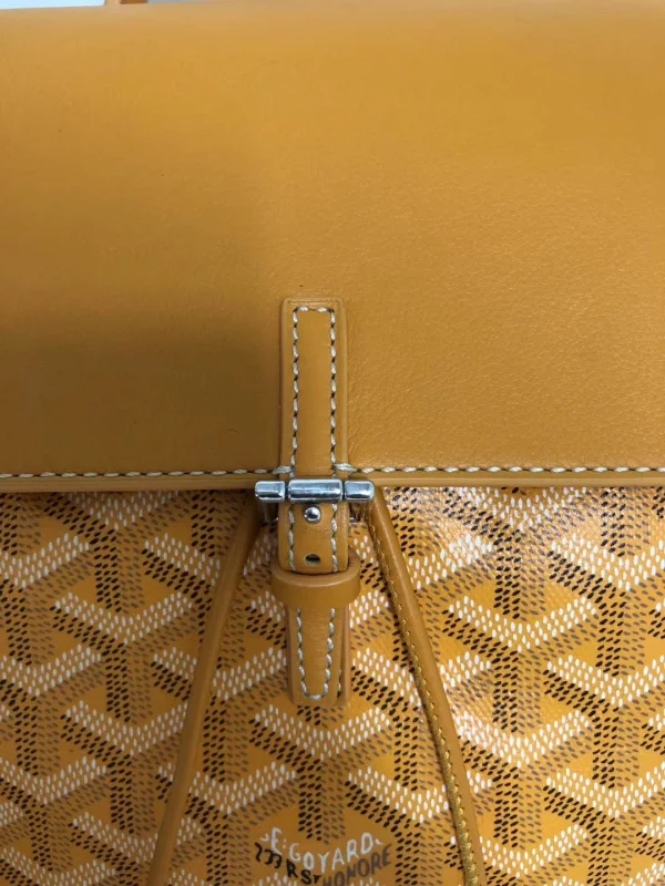 Goyard Size: 19*9*20cm - 图片 6