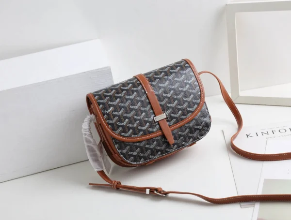 Goyard Messenger Bag Size:22*17*7cm - 图片 10